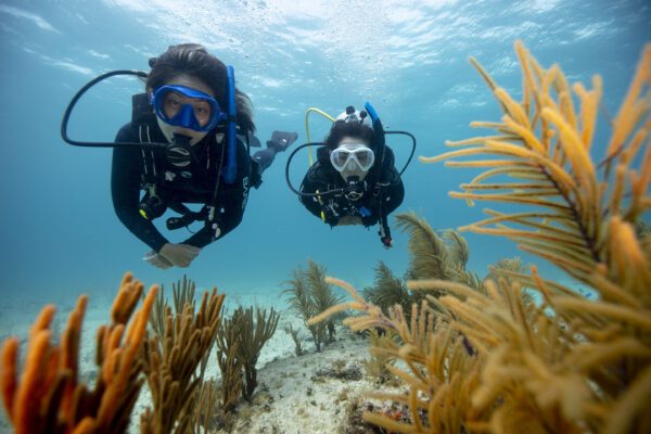 divearound PADI scubadiver