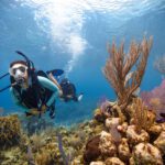 divearound PADI Open Water