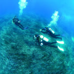 divearound PADI Divemaster