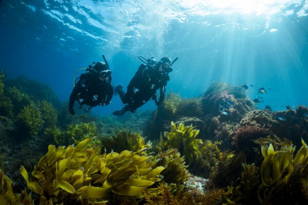 PADI Onderwater navigatie