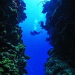 divearound PADI Deep Diver