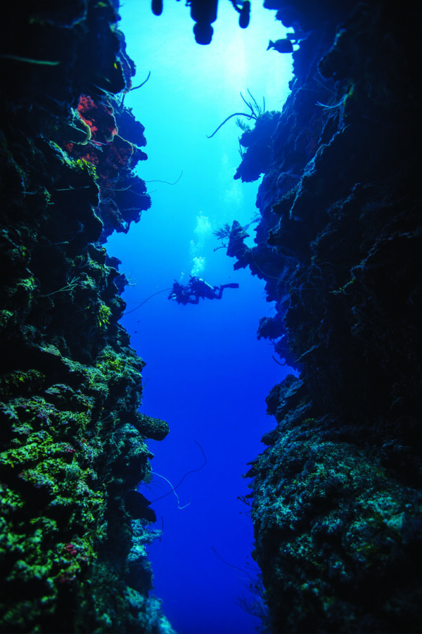 divearound PADI Deep Diver