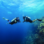 divearound PADI PPB