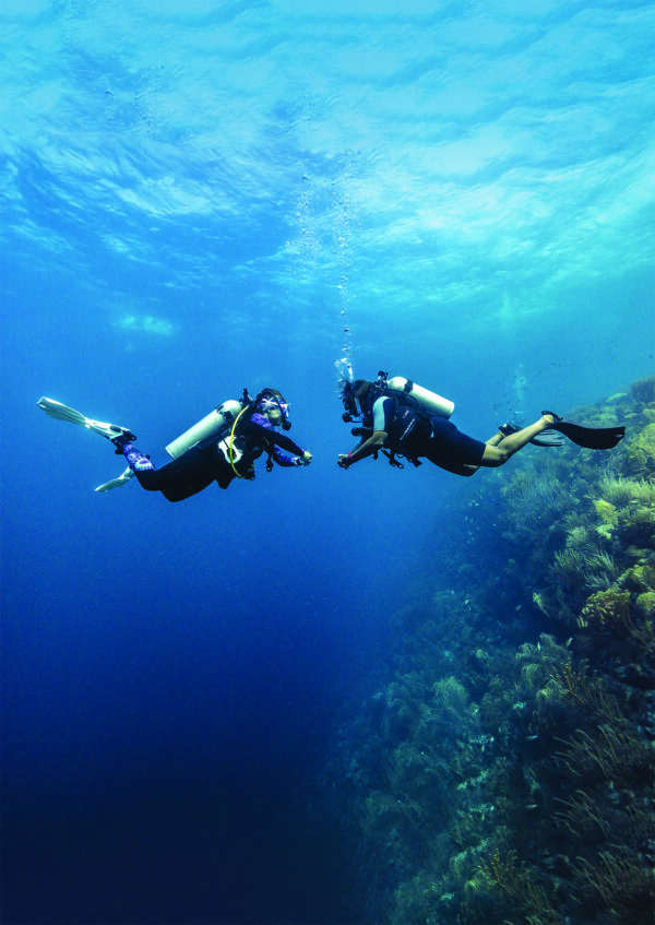 divearound PADI PPB