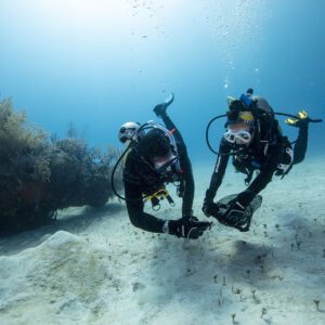 divearound PADI Aware