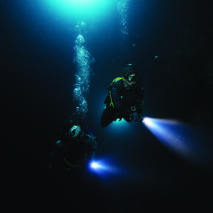 divearound PADI night diver