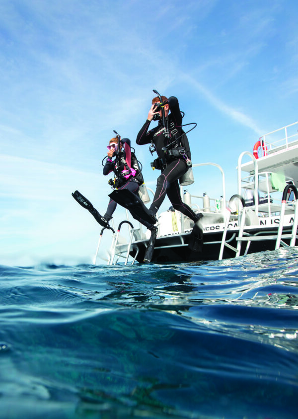 divearound PADI reactivate